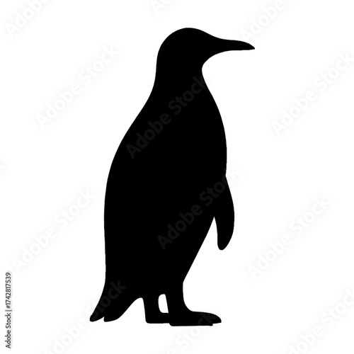 penguin isolated on white background