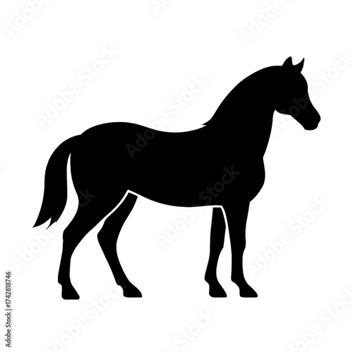 silhouette of a horse