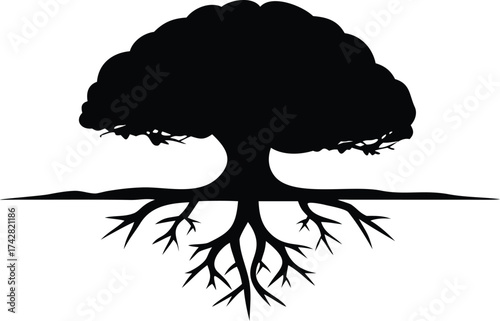Silhouette of a mature tree with visible roots vector illustration isolated on white symbolizing growth and stability