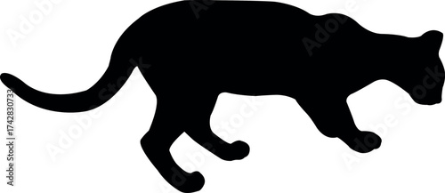 Resim ve İllüstrasyon