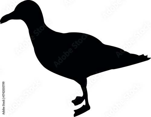 a seagull black color silhouette vector