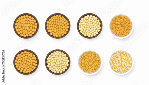 A collection of grains and legumes in bowls from a top view. Vector illustration of soybeans and oats variety. Healthy food and agriculture concept flat lay