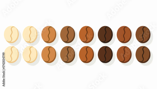 Set of coffee beans with different roast levels. Roasting process shown in a color gradient from light to dark. Vector illustration isolated on white