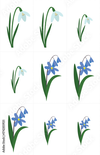 Snowdrop flower icon set. Flat illustration of snowdrop flower vector icon set for web design