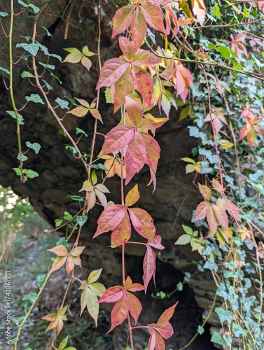 Girlande im Garten