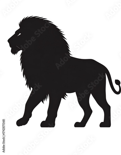 Silhouette of a majestic male lion, walking proudly