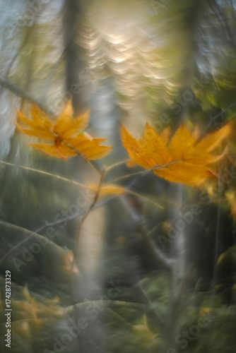 Artistic Autumn Rowan Leaf with Soft Focus and Watercolor Bokeh. Forest cinematic background. 