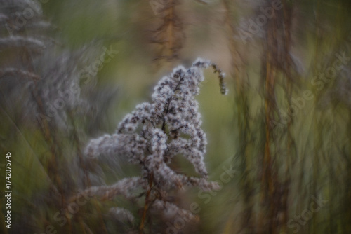 Autumn forest plants with soft focus and watercolor bokeh
