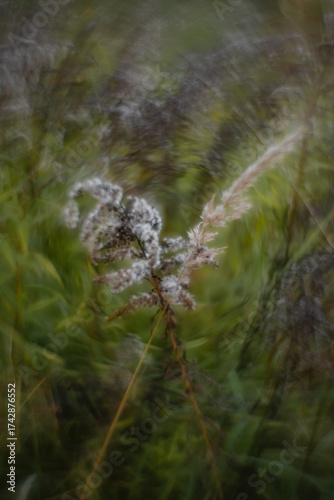 Autumn forest plants with soft focus and watercolor bokeh