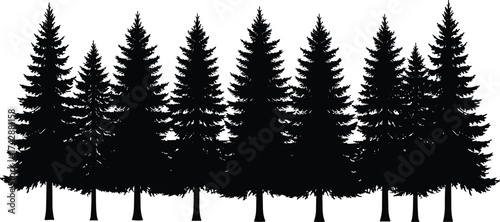 Silhouette conifer tree collection with pine shapes, pointed tops, dense foliage, outdoor forest design, botanical illustration, environmental landscape art