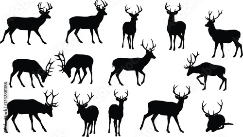 Silhouette deer collection with antler variations, wildlife poses, zoological illustration, animal taxonomy, environmental design, biodiversity 