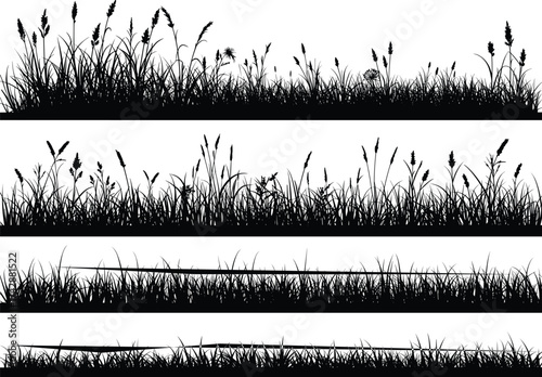 Silhouette grass and wild plant collection, outdoor landscape, botanical illustration, decorative foliage design, environmental nature art, ecological reference