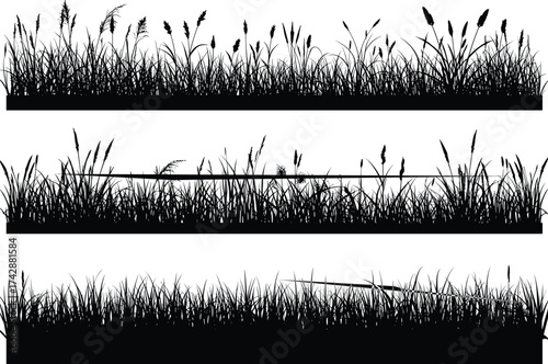 Silhouette grass and wild plant collection, outdoor landscape, botanical illustration, decorative foliage design, environmental nature art, ecological reference