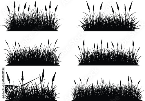 Silhouette grass patch collection with varied blade densities, seed heads, gardening tool element, outdoor landscape, botanical illustration, environmental art