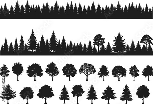 Silhouette tree and forest collection with deciduous, conifer variations, outdoor landscape, botanical illustration, environmental design, taxonomy reference art