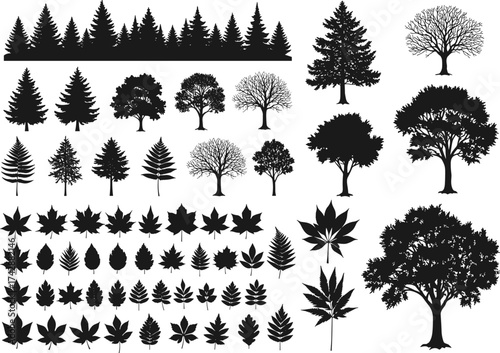 Silhouette tree and leaf collection with conifer, deciduous, assorted foliage shapes, botanical study reference, outdoor landscape, environmental illustration art