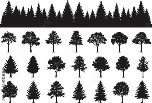 Silhouette tree collection with conifer, deciduous, mixed variations, dense forest row, outdoor landscape, botanical illustration, environmental design, nature art