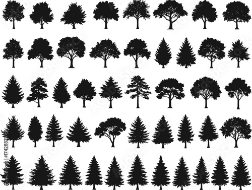Silhouette tree collection with deciduous and conifer variations, outdoor landscape, botanical illustration, environmental design, nature art, taxonomy reference
