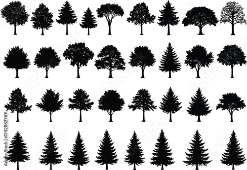 Silhouette tree collection with deciduous and conifer variations, outdoor landscape, botanical illustration, environmental design, nature art, taxonomy reference