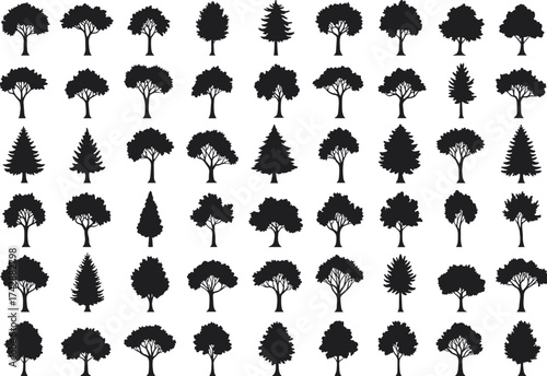 Silhouette tree collection with deciduous, conifer variations, outdoor landscape, botanical illustration, environmental design, taxonomy reference, nature art grid