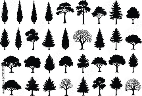Silhouette tree collection with deciduous, conifer, ornamental variations, outdoor landscape, botanical illustration, environmental design, nature art, taxonomy reference