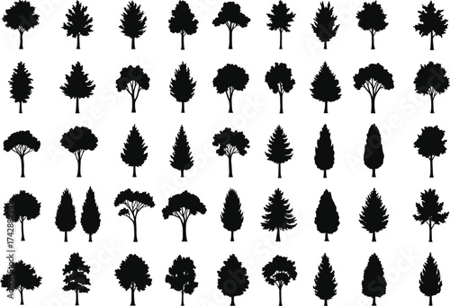 Silhouette tree collection with deciduous, conifer variations, outdoor landscape, botanical illustration, environmental design, taxonomy reference, nature art catalog grid