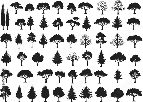 Silhouette tree collection with deciduous, conifer, stylized variations, outdoor landscape, botanical illustration, environmental design, nature art, taxonomy reference