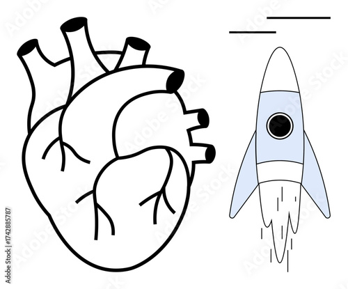 Black-and-white anatomical heart beside a minimalist blue rocket taking off. Ideal for motivation, passion, exploration, innovation, science, growth, creativity. Simple flat metaphor