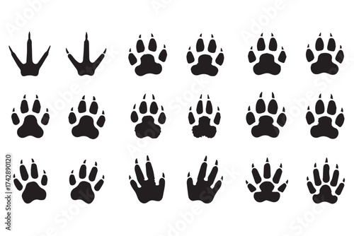 Collection of animal paw prints isolated on transparent background