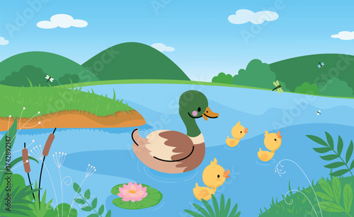 Ducklings in pond. Tiny yellow duckling with mother duck swimming in lake or river. Cartoon nature landscape, countryside wildlife nowaday vector scene