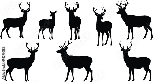 Silhouette deer collection with male and female variations, antler diversity, wildlife poses, zoological illustration, taxonomy reference, nature art