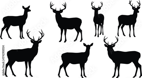 Silhouette deer collection with male and female variations, antler diversity, wildlife poses, zoological illustration, taxonomy reference, nature art