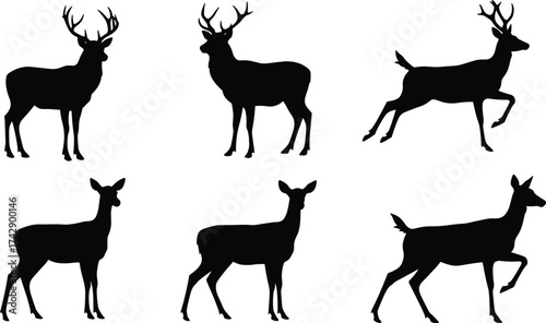 Silhouette deer collection with male and female variations, antler diversity, wildlife poses, zoological illustration, taxonomy reference, nature art