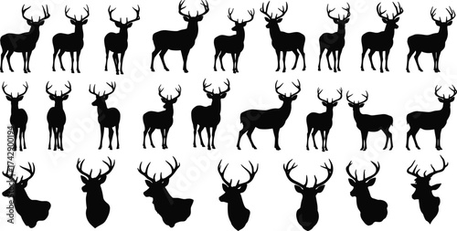 Silhouette deer collection with antler variations, full body and head views, wildlife poses, zoological illustration, taxonomy reference, nature art
