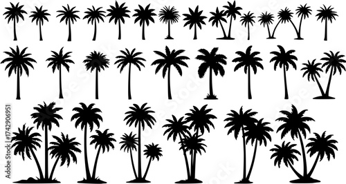 Diverse collection of tropical palm tree silhouettes. Black vector icons for summer vacation, beach, island, and exotic travel designs.