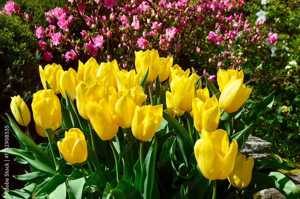 Obraz premium Snapshots of spring time in color. 