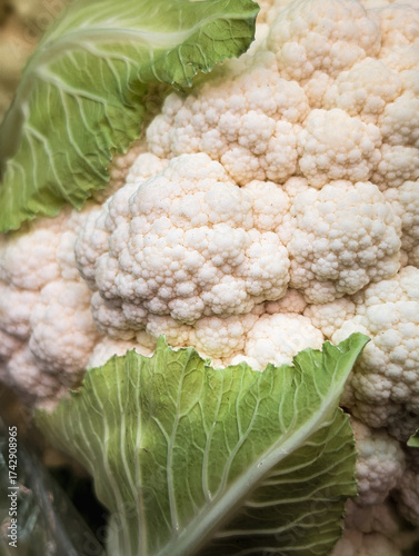 close-up texture of organic white cauliflower with green leaves