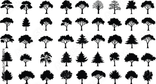 Tree silhouettes collection, 40 diverse species and shapes, deciduous conifer broadleaf canopy designs, botanical landscape illustration set, vector art