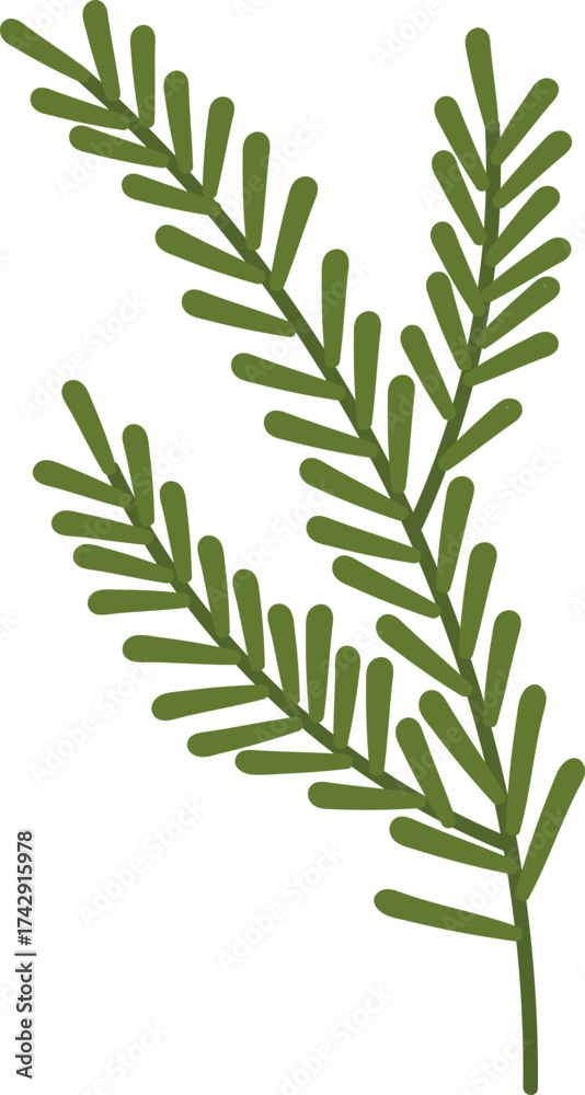 Fototapeta premium Pine Branch Illustration