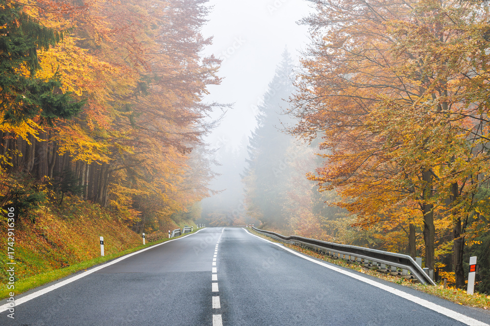 Obraz premium Autumn's golden hues frame a tranquil road inviting journeys into misty landscapes. Experience the season's serene embrace.