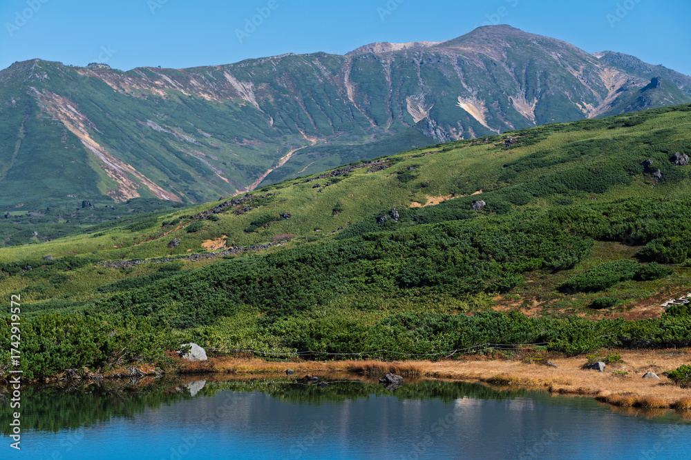 Fototapeta premium 旭岳の散策路から望む鏡池と大雪山