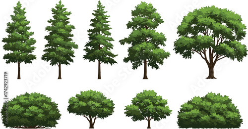 Cartoon tree and bush collection with diverse shapes — perfect for game design, landscaping, nature illustrations, UI elements, educational materials, and digital art projects