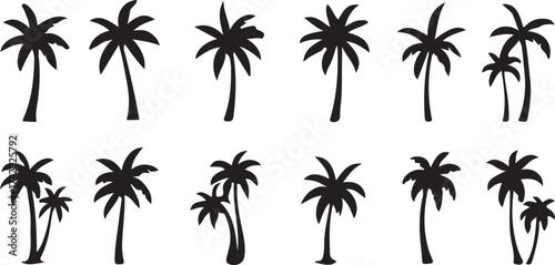 Diverse Palm Trees – Tropical Botanical Collection