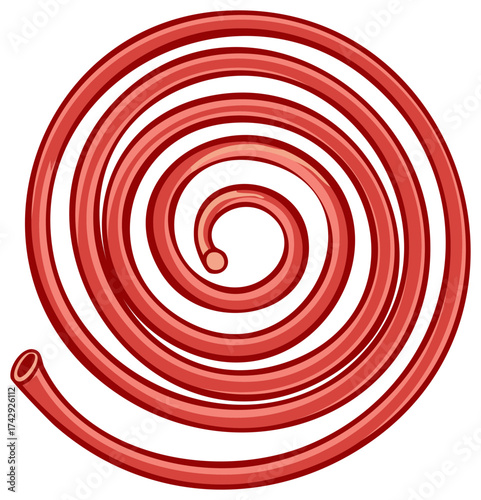 Illustration of a red garden hose neatly coiled into a perfect spiral for yard work and watering concepts