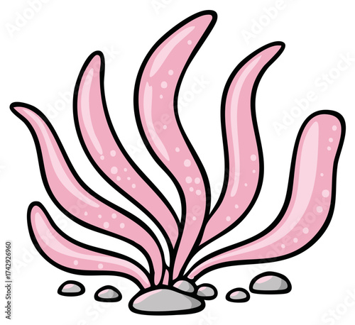 Pink seaweed illustration with black outlines and gray stones at the base