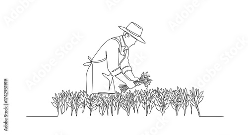Vector continuous line drawing of a farmer harvesting crops in a field with hat and apron attire