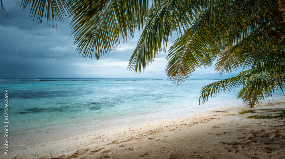 Obraz premium Serene tropical beach with palm trees overlooking calm ocean waters