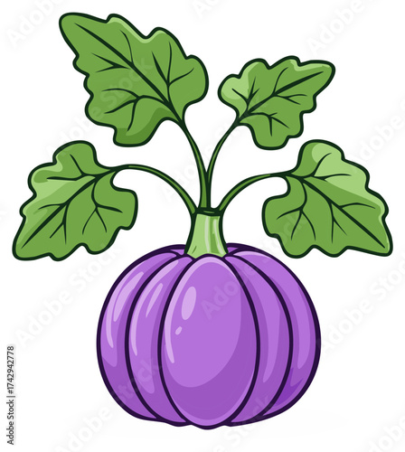 Fresh whole kohlrabi with broad green leaves simple drawing illustration vegetable garden