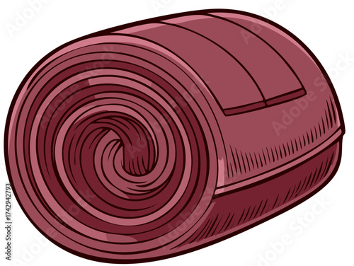 Compact rolled maroon camping sleeping bag or mat for outdoor adventure and travel equipment