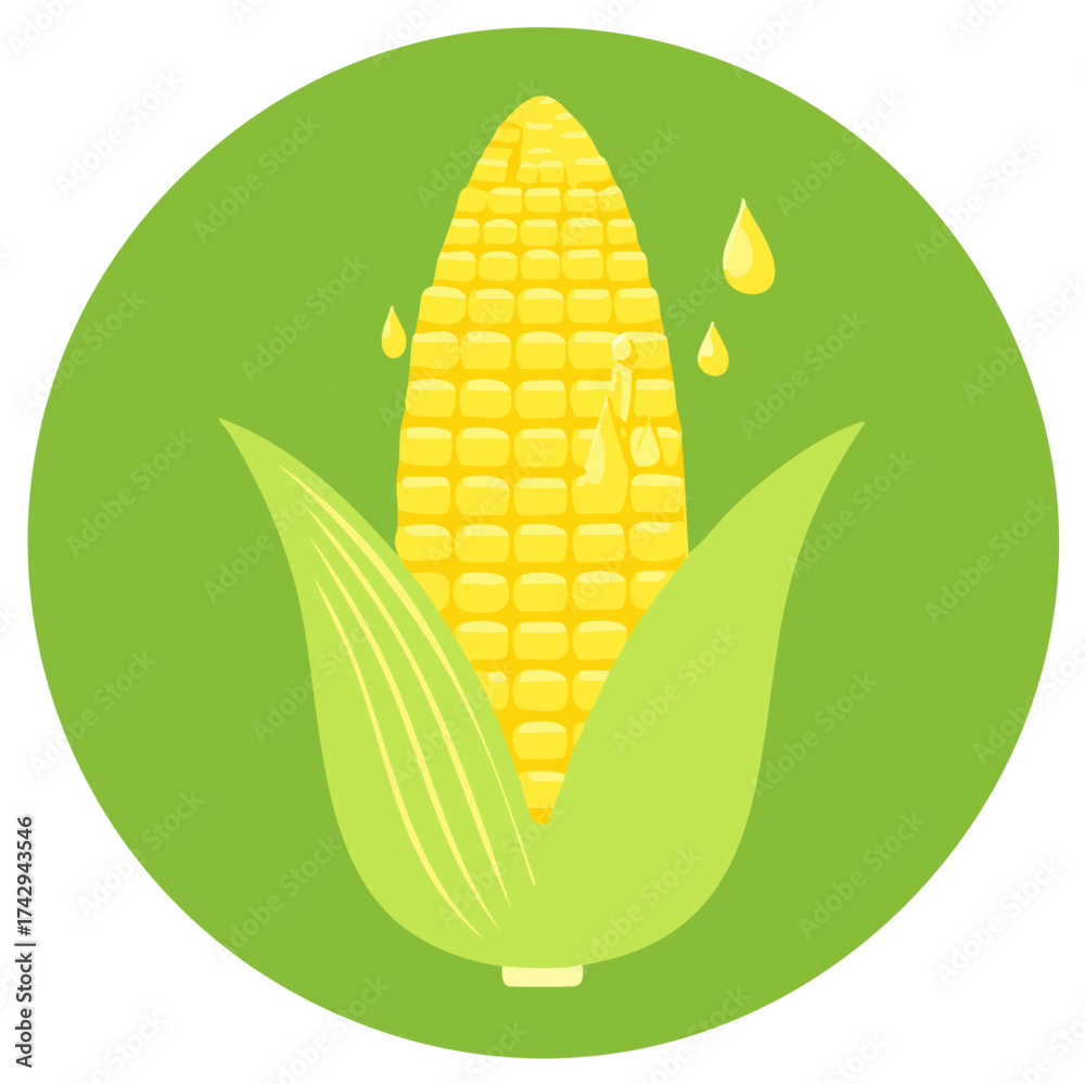 Obraz premium Fresh Sweet Corn Cob with Dripping Drops Illustration in Green Circle